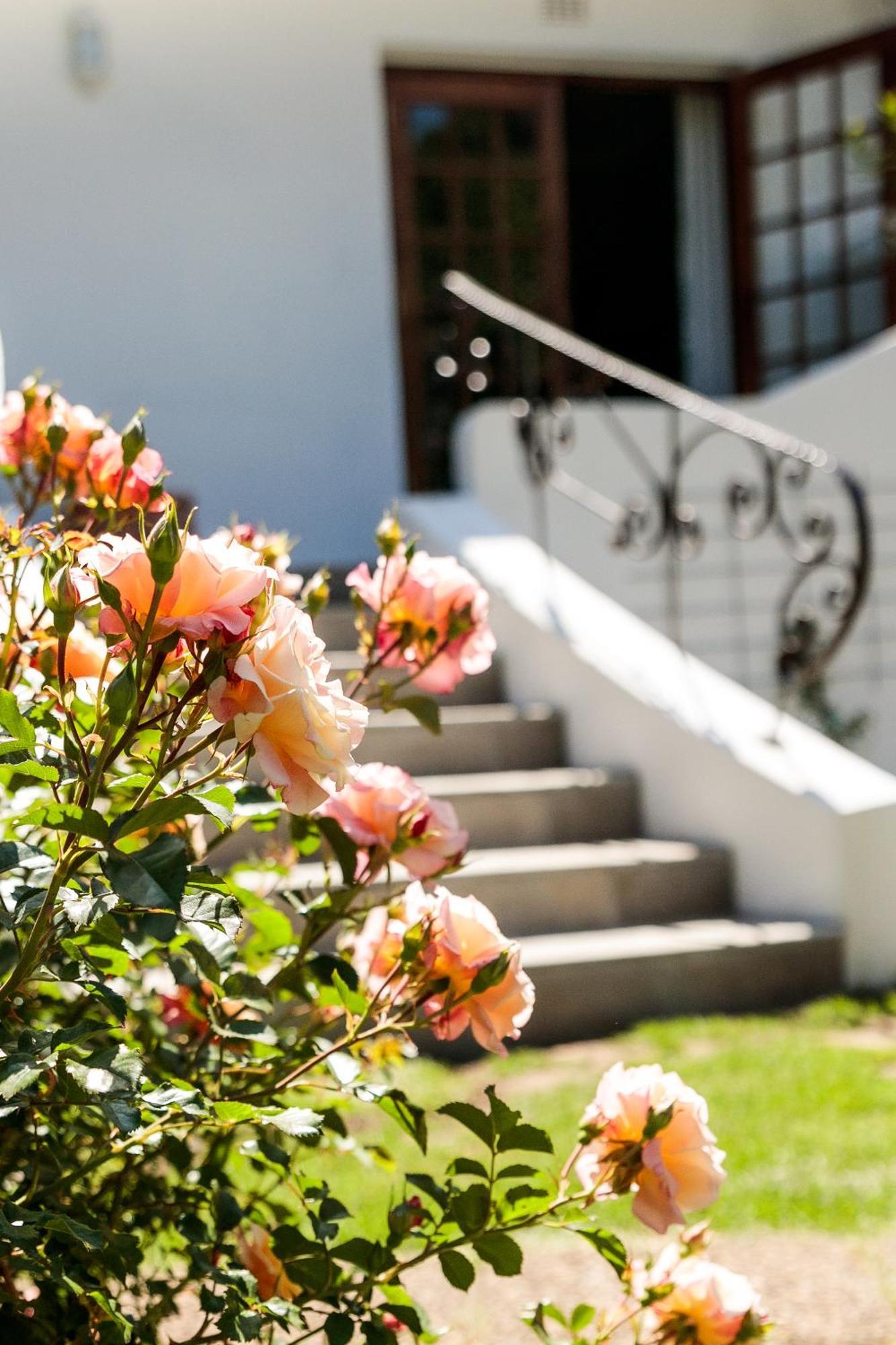 Hillingdale On Alexandra Cidade Do Cabo Exterior foto